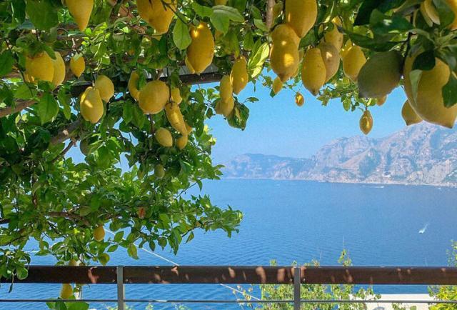 意大利人都是行走的柠檬精吗?一直酸,一直爽