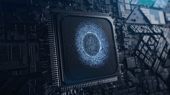 560_315gif 动态图 动图