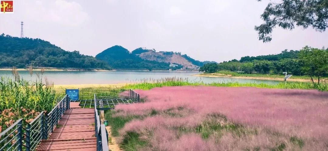 中山那座让我无法割舍的城市
