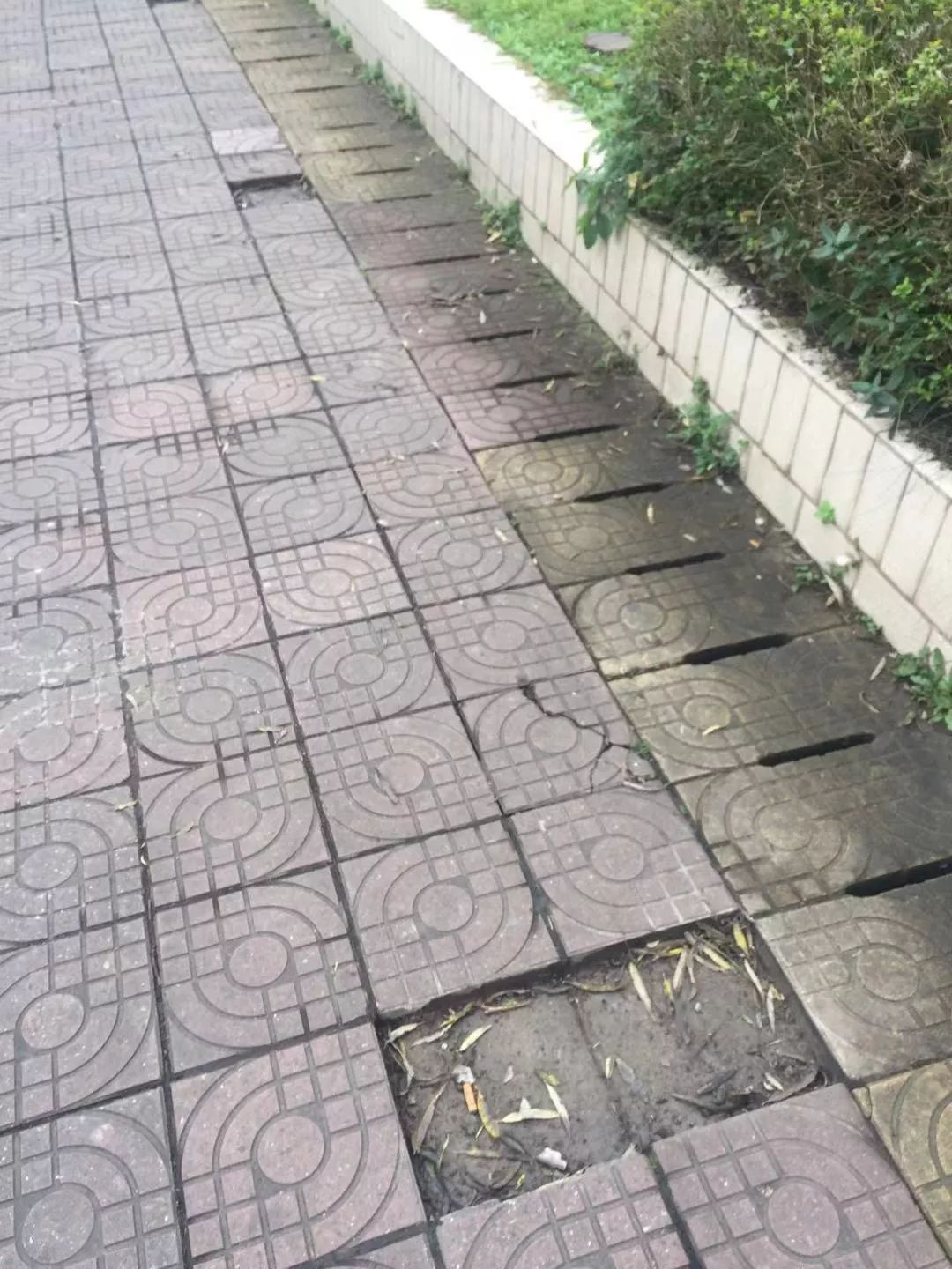 南部滨江路靠河边人行道地砖多处破损缺失网友质疑有关部门懒政