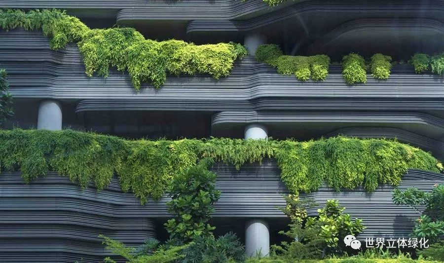 100多张垂直绿化设计实景图