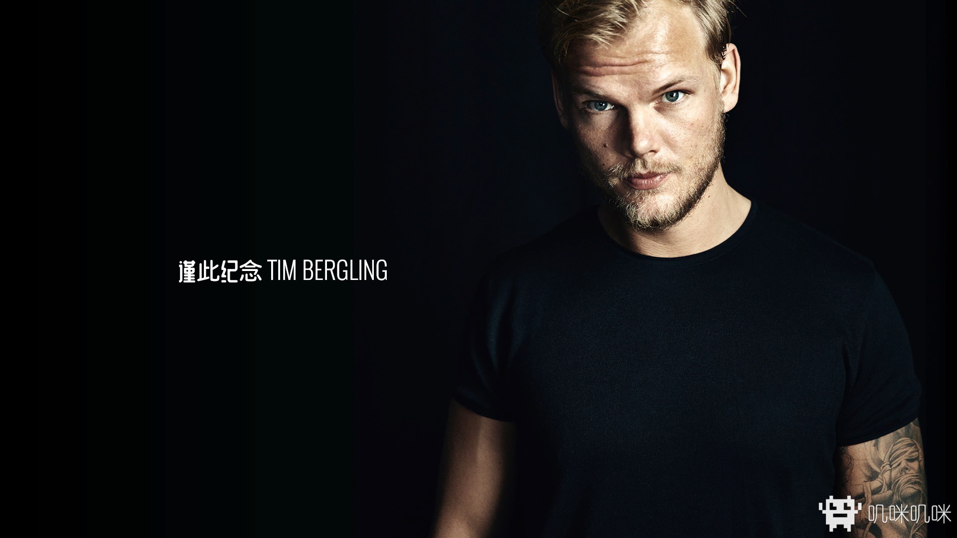 avicii invector--感谢你带来如此优秀的音乐,祝你安息