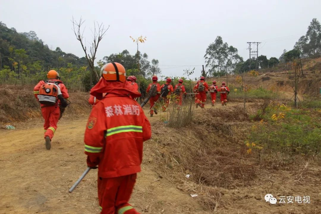 指挥人员的应急处置能力和森林消防队员"以水灭火"风力灭火"扑救森林