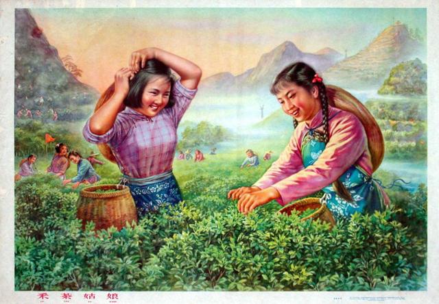 采茶姑娘姑娘们在野外采茶,捕蝶,欢声笑语水上才菱角的少女采莲少女