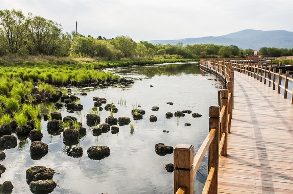 中国十大最美湿地公园图片