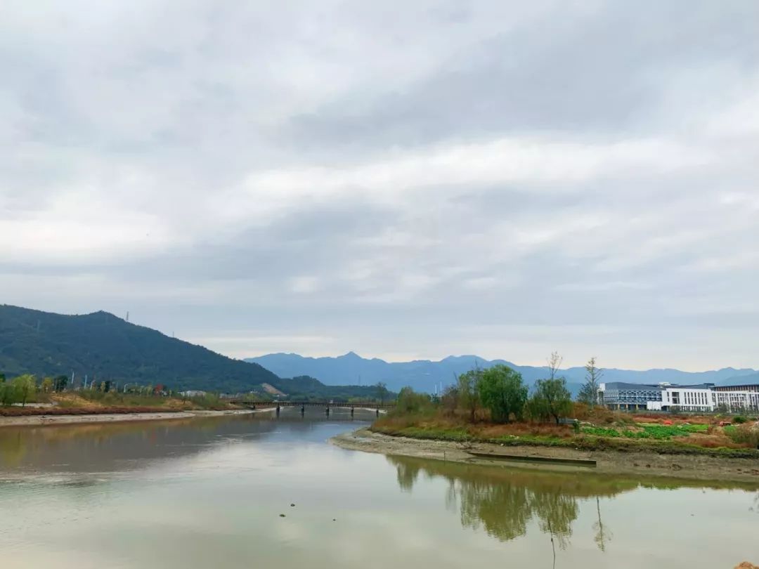 鹿城区委常委宣传部长曾伟来藤桥镇考察曹湾山史前文化遗址