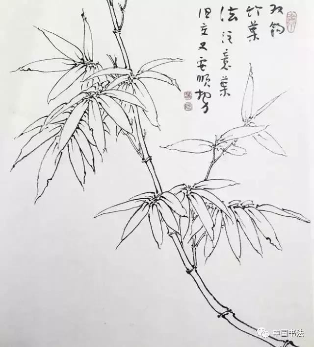 竹子构图—长幅与扇面构图