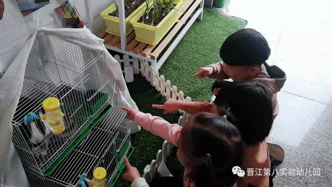 班级风采五里园园区小三班兔子饲养日记之我给小兔洗澡啦