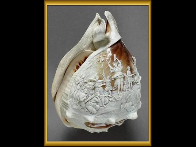 「转载」浮雕贝壳