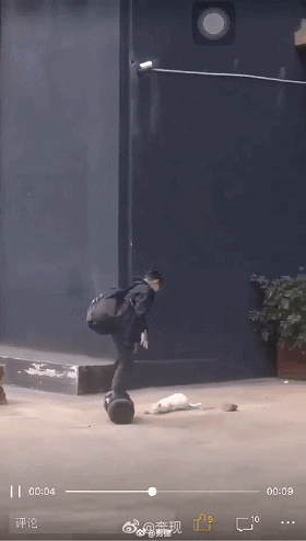 熊孩子直播虐猫最终送去吃牢饭猫咪成功获救