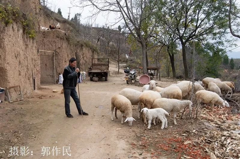 勤劳淳朴庄稼汉