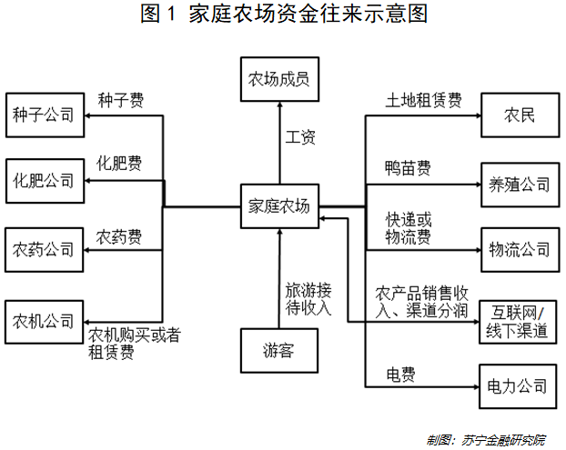 家庭农场60亩规划图图片