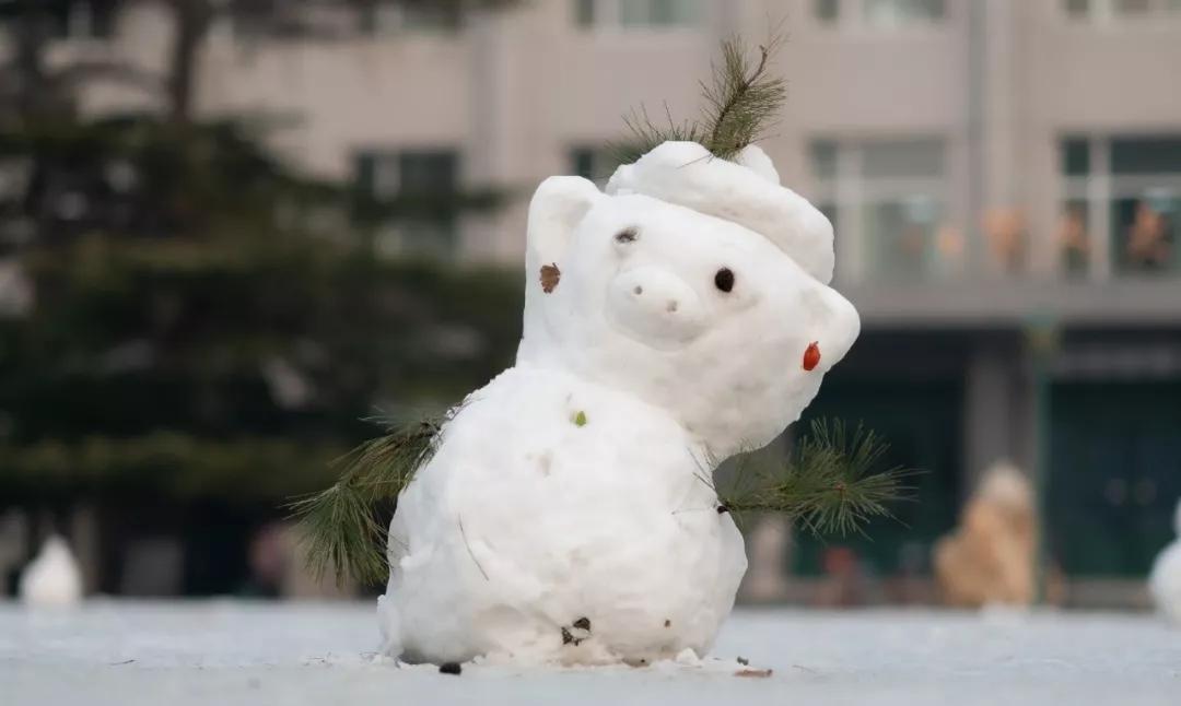 来晚了北京高校堆雪人大赛作品来袭