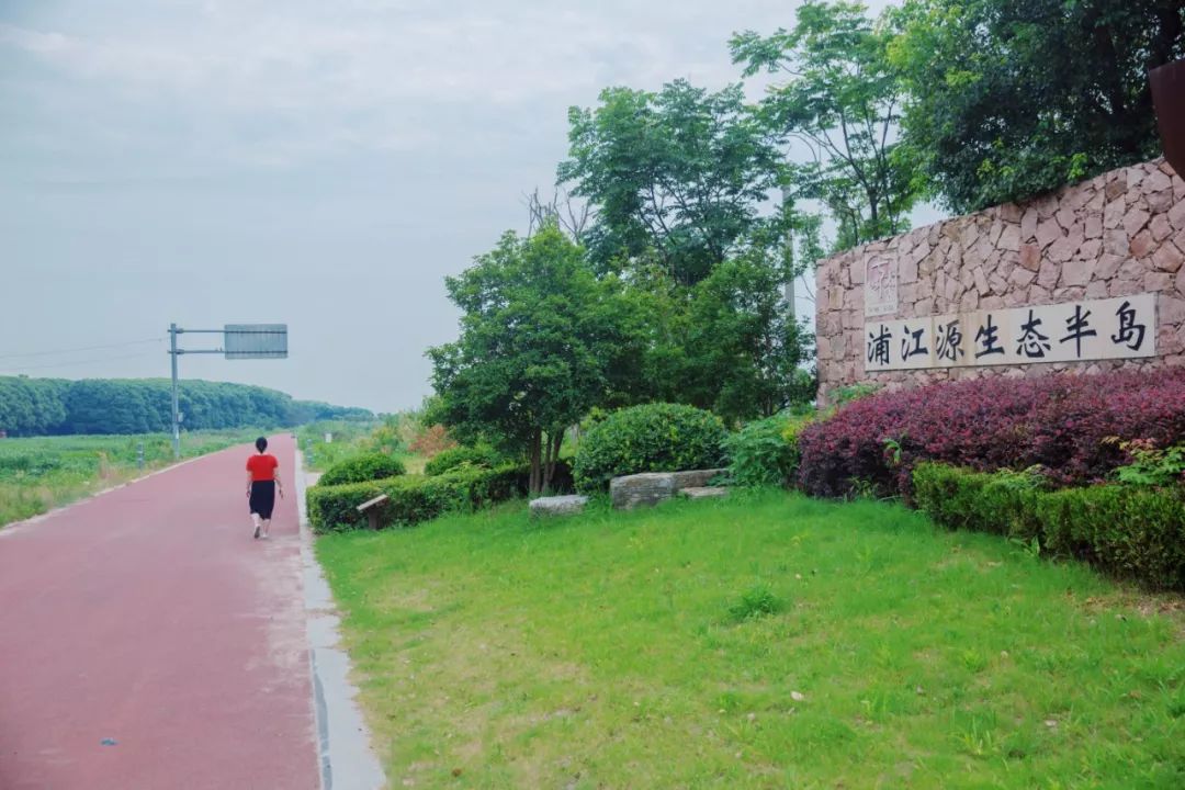 一隻蟹生活環境的變遷七都鎮推進浦江源太湖蟹生態養殖示範區建設