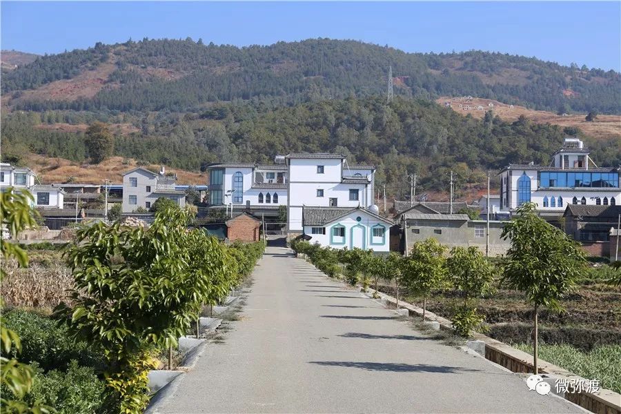 环境半山区村成别墅村真是不可思议