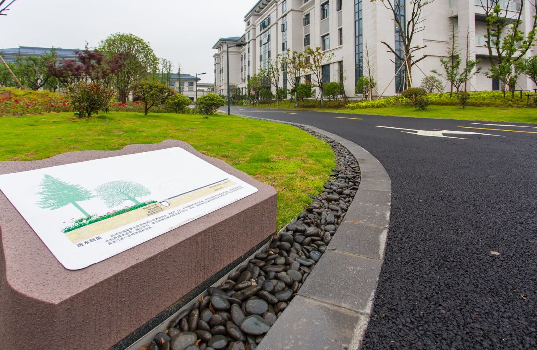 宁波全国海绵城市建设试点迎来国家专家组终期现场考核