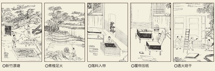 古代的纸是怎么造出来的?为什么青檀被称为"宣纸的灵魂"?_造纸术