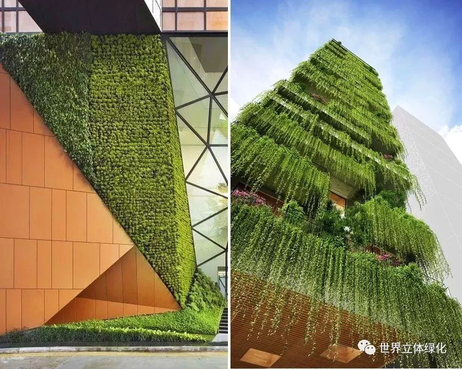 本期和大家一起分享100多张创意垂直绿化设计实景图,肯定有你喜欢的.