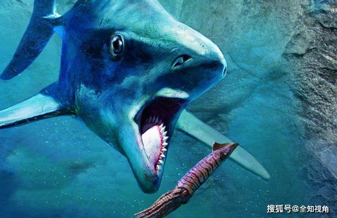 原创称霸海洋800万年的怪鲨牙齿如圆锯让科学家百年争不休
