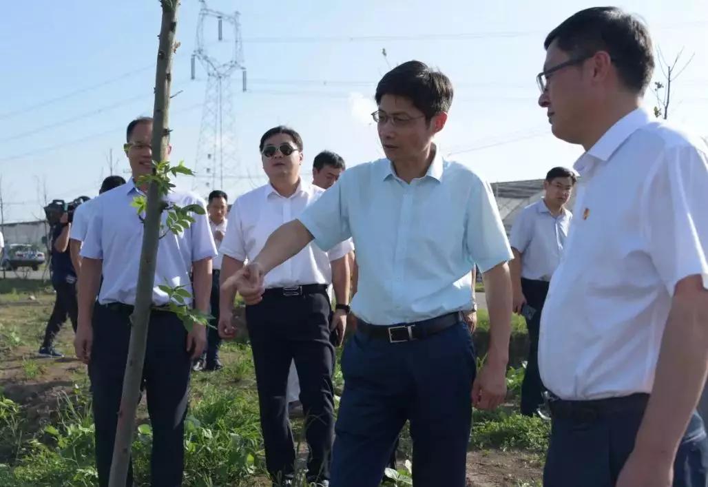 灌云县委书记左军现场指导田园综合体建设连云港市副市长吴海云现场