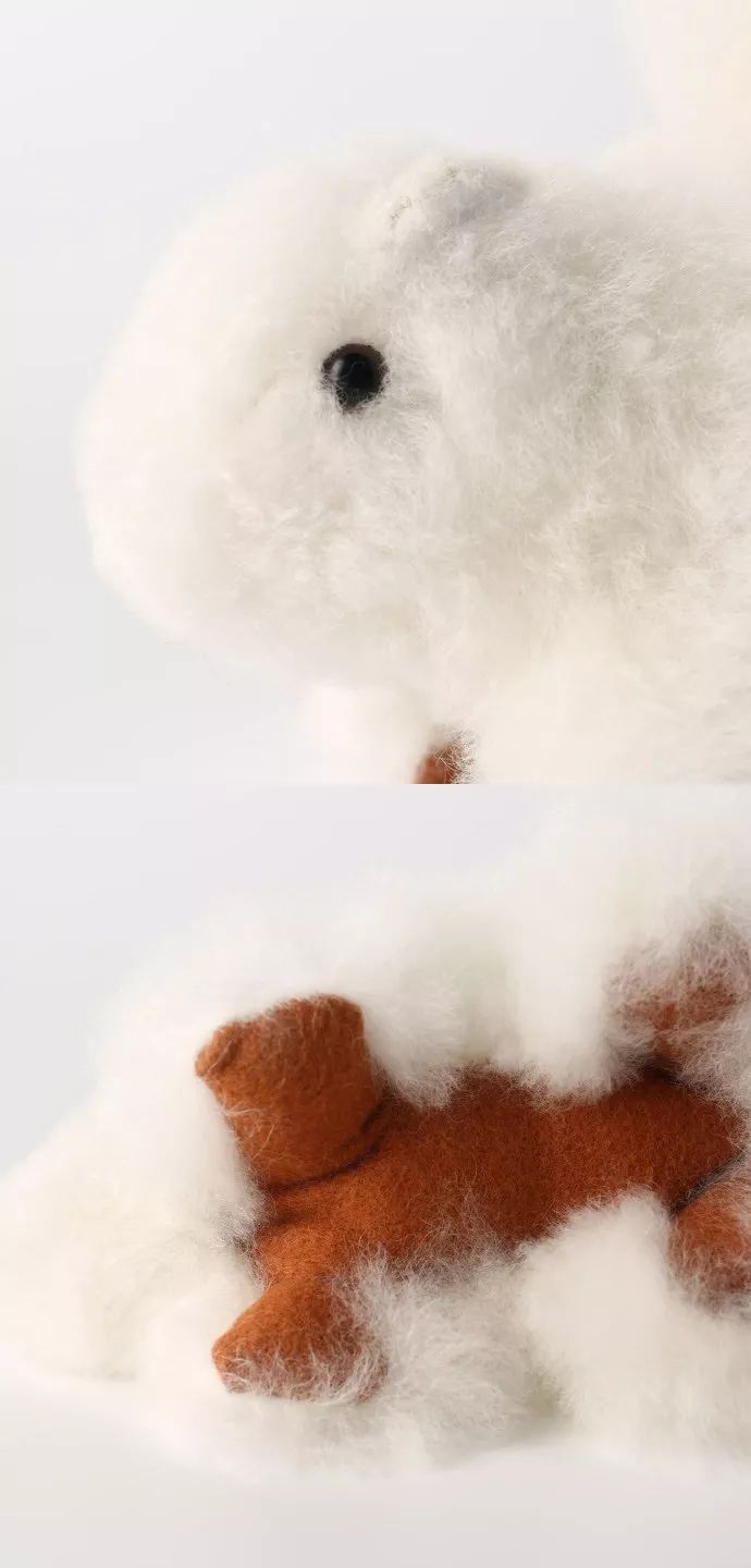 我有井柏然同款的炸毛熊还有双下巴