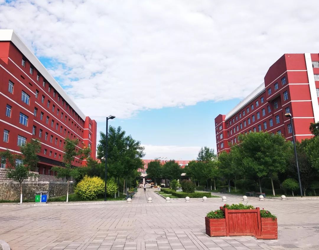 大学学习的另一个开始
