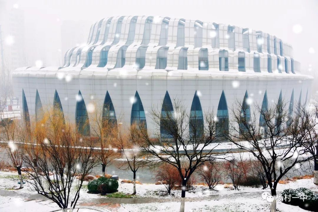 当大雪来临时杨村一中校园内发生了
