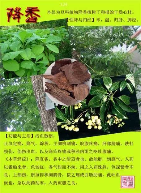 常用中草药图谱(修正版)