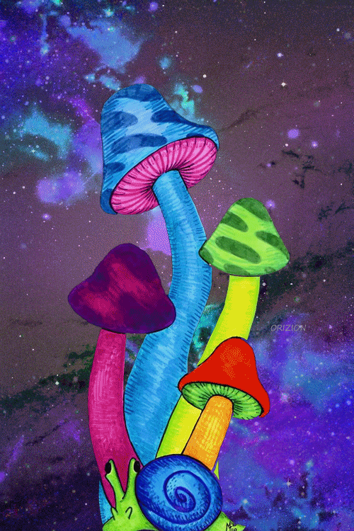 为开发抗抑郁药物科学家研究了20年致幻蘑菇