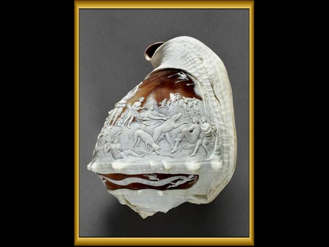 「转载」浮雕贝壳