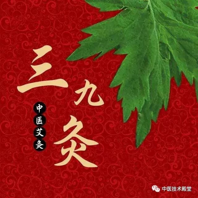 三九灸马上到这样艾灸横扫体内寒毒