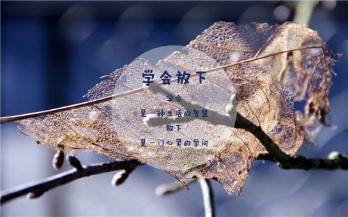 学会放下,也是一种成就