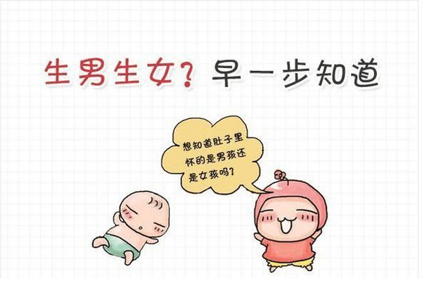 怀孕多久能测出来男女
