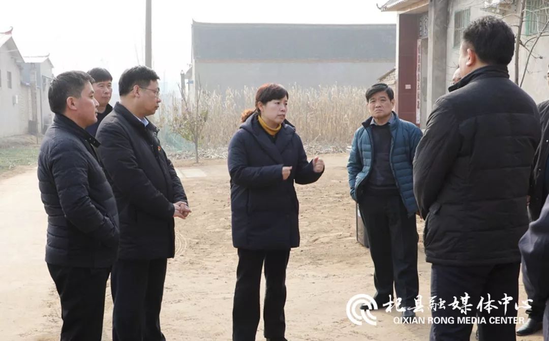 开封市副市长王玲深入我县督导察看国土绿化工作