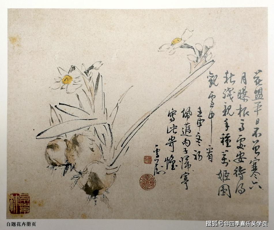 信手勾勒,王雪涛笔下的"水仙图"