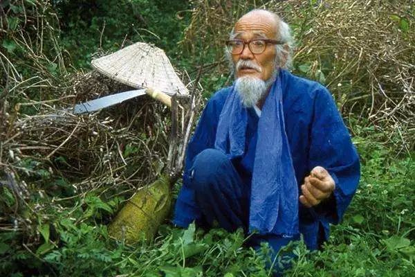 木村秋则:用了11年才种出2个苹果,却最终感动了全国……_农药