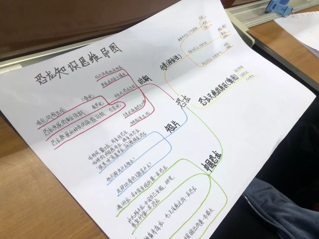 莘县聊报小记者第十次主题活动走进多彩恐龙世界点燃思维导图记忆聊报