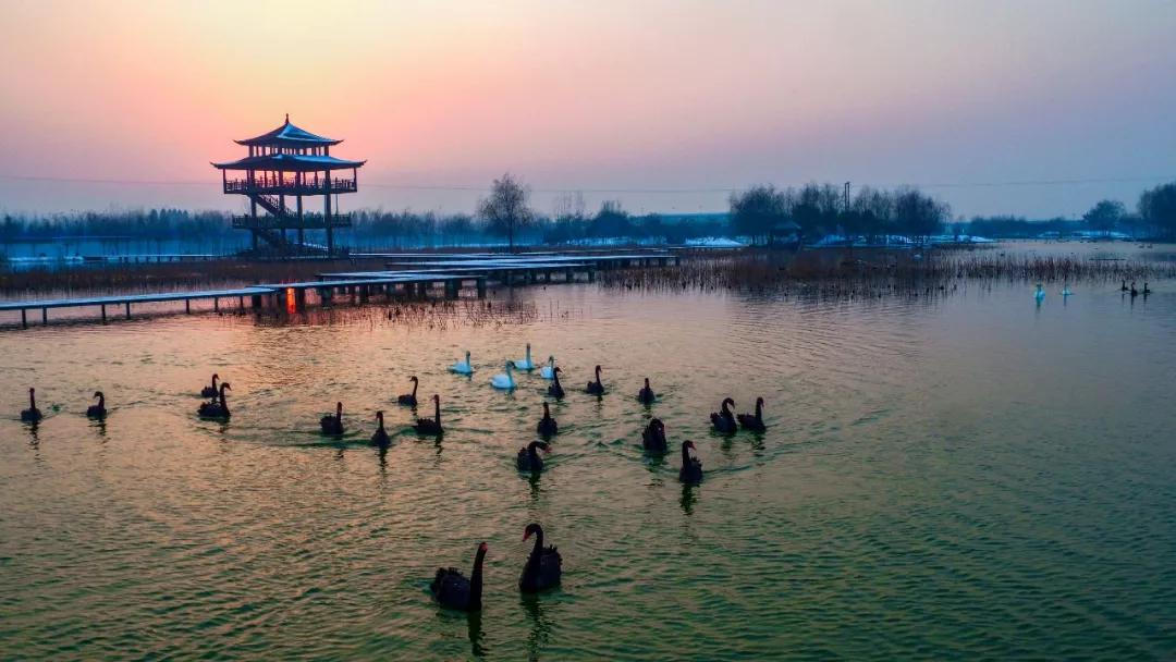 安庆双龙湖图片