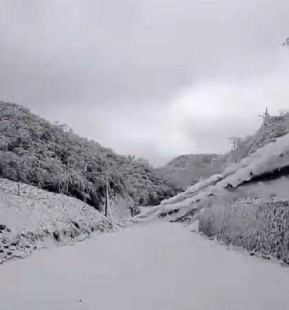 巫溪等万州周边高海拔地区齐岳山,巫山,仿佛闯入了冬天的童话世界.