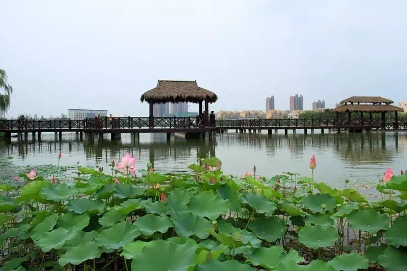 重要直播提醒徐州市市长庄兆林将走进政风热线