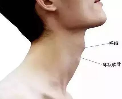 实用人体体表标志定位与解剖含人体解剖图