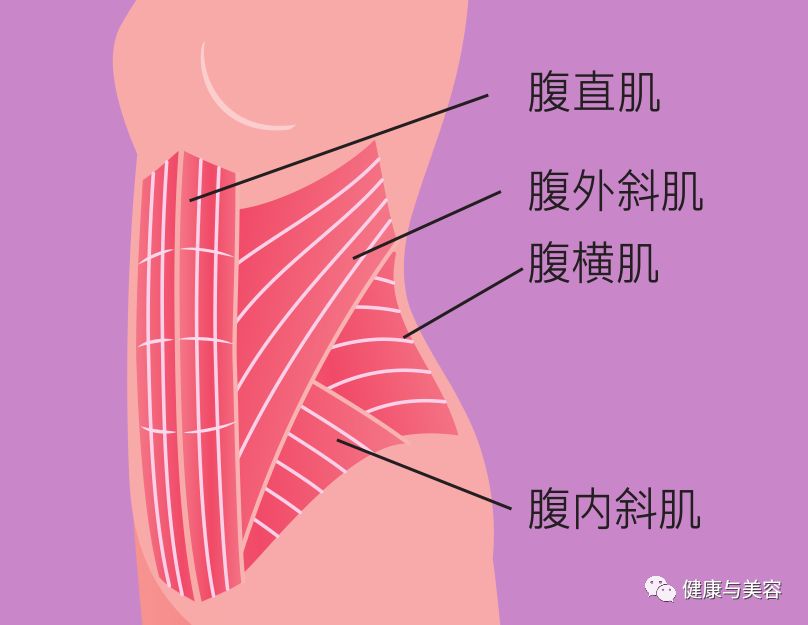 李易峰一口气做了100个仰卧起坐!腹直肌锻炼拯救小肚子