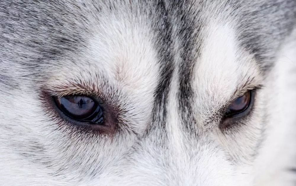 快看吸毒者的眼睛居然是这样教你从眼睛辨别吸毒者