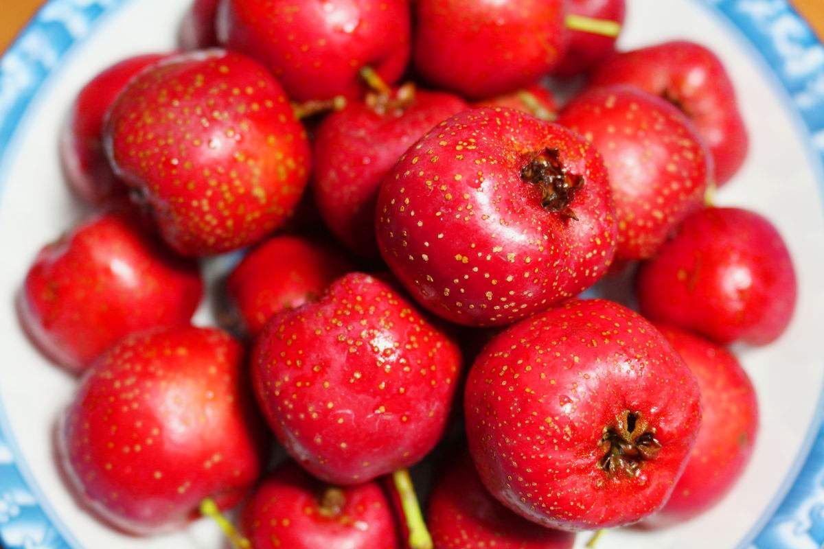 味厚滋补之品的同时配合食用消导通理的食物,例如白菜,莱服子,山楂等