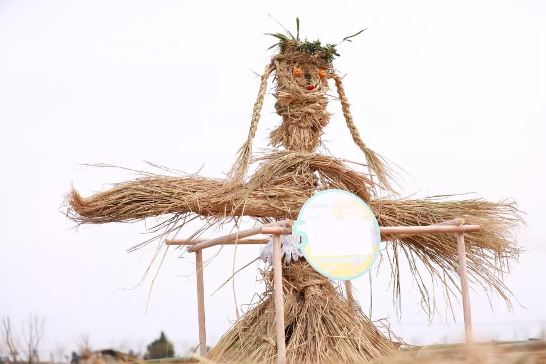 这些稻草太调皮啦溪田杯稻草创意大赛成功举办