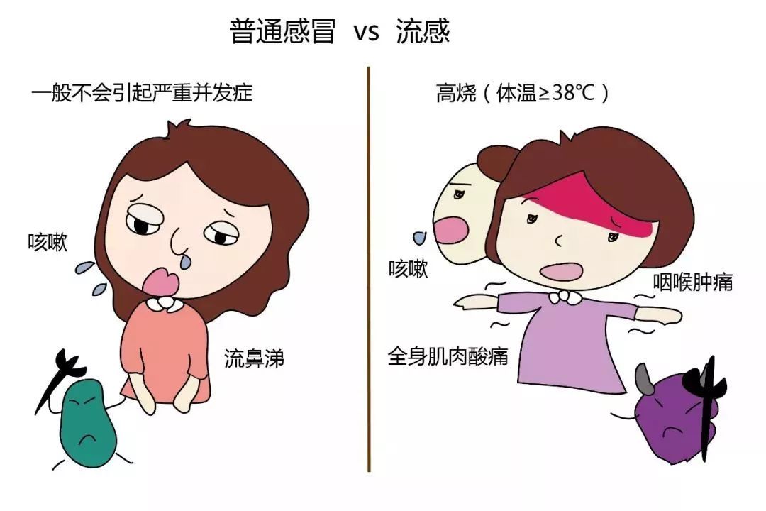 流感由流感病毒引起,流感病毒包括甲型,乙型和丙型三种;普通感冒可由