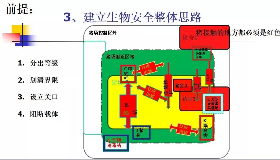张桂红教授非瘟下的规模猪场生物安全措施方案