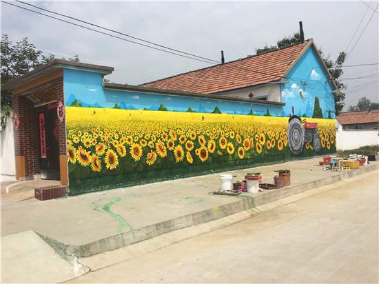 昌邑市龙池镇西白塔村 美丽乡村3d彩绘墙