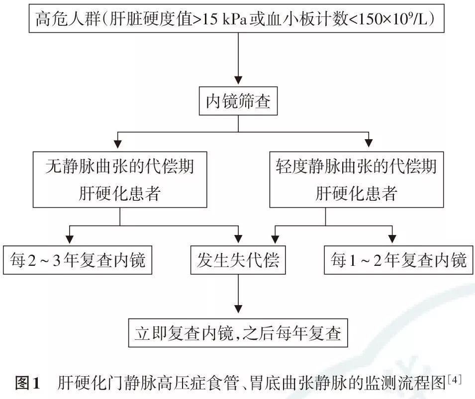 肝硬化门静脉高压症食管,胃底静脉曲张破裂出血诊治专家共识(2019版)