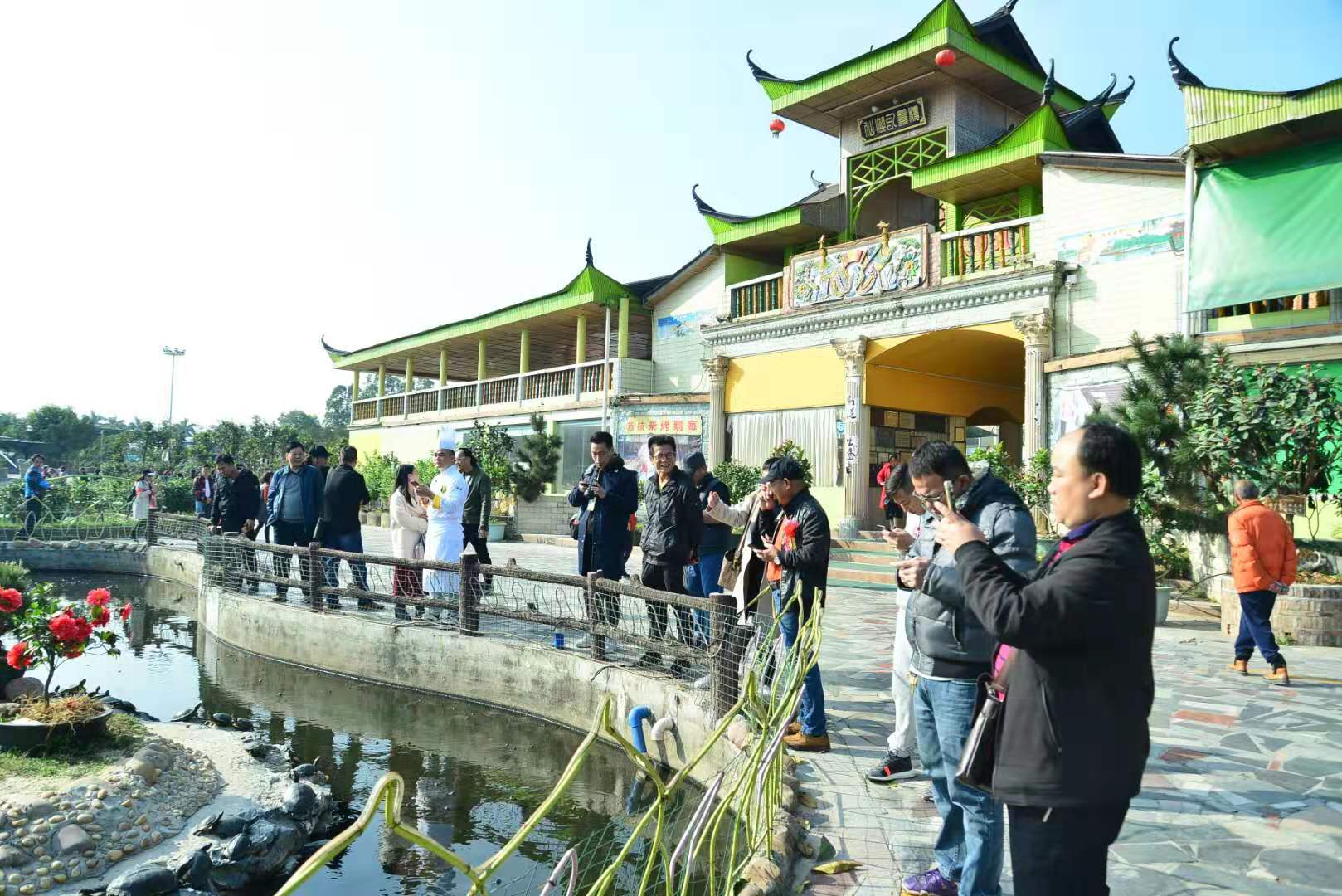 2019第二届鹤山(八景)海棠茶花美食节开幕